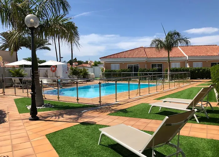 Alsol Leones - Adults Only *