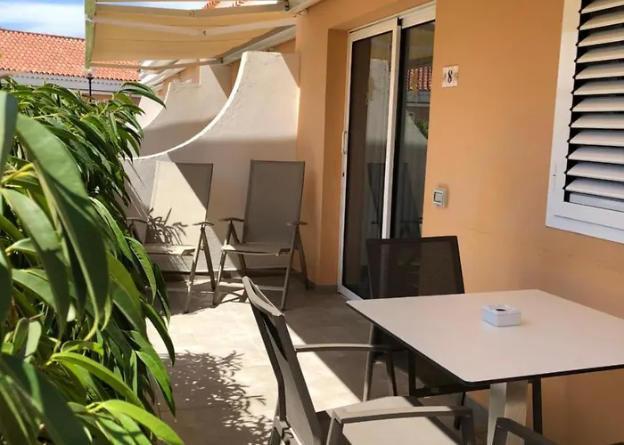 Alsol Leones - Adults Only *