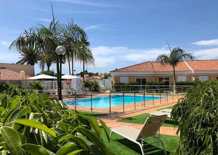 Alsol Leones - Adults Only *